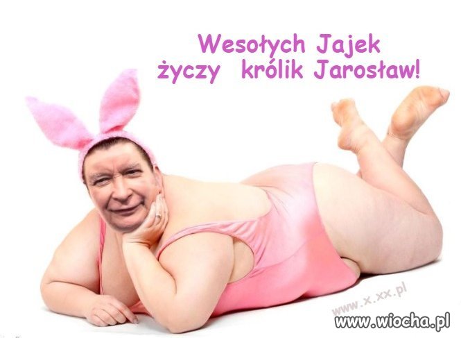 A jutro dyngus