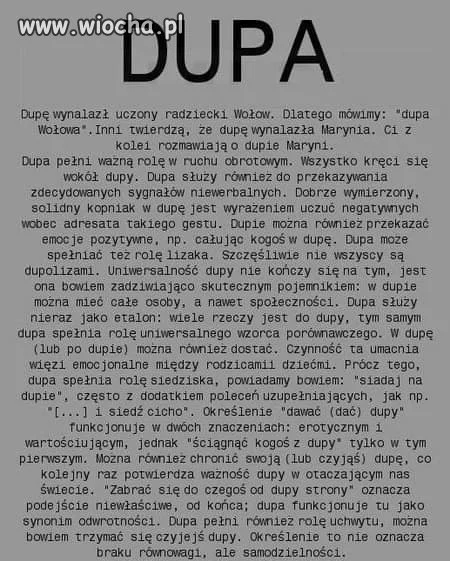 Dupa dupa