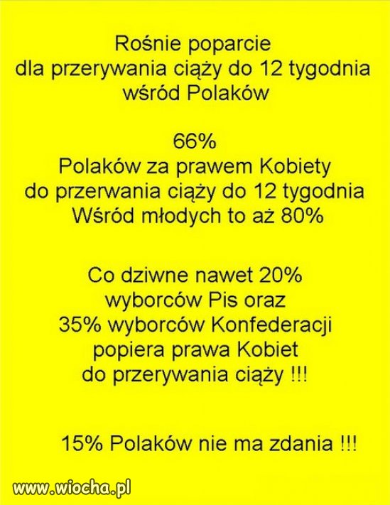 Rośnie rozsadek w narodzie, fanatycy dają dudy...
