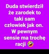 Równi inteligencją ...