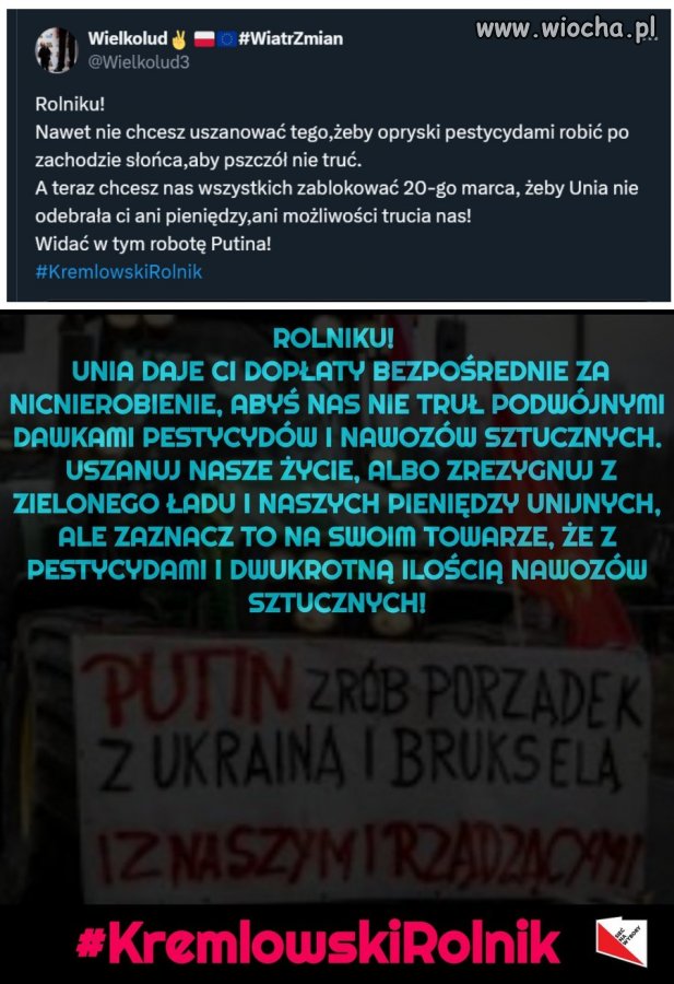 Użyteczni idioci