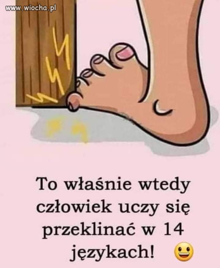 Coś w tym jest 
