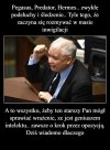 Za wszystkim stał Zero, który już na studiach ...