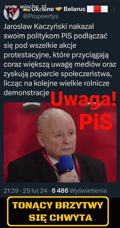 Kacza żenada