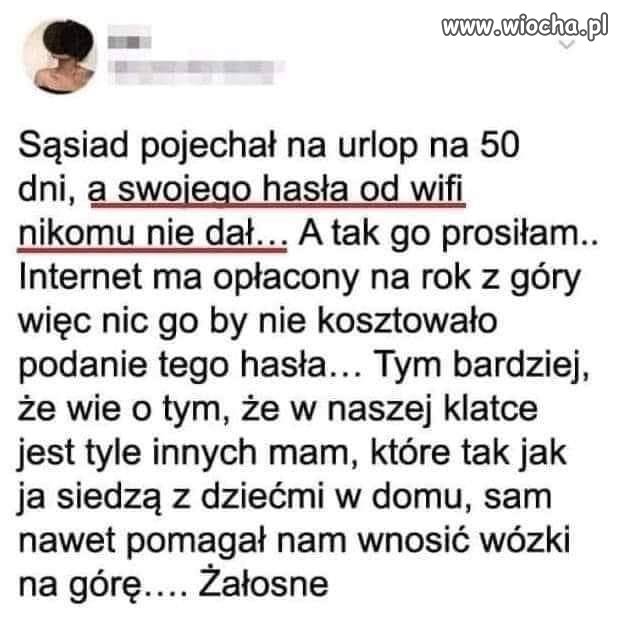 Jak można być taką świnią 