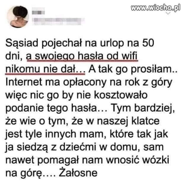Jak można być taką świnią 