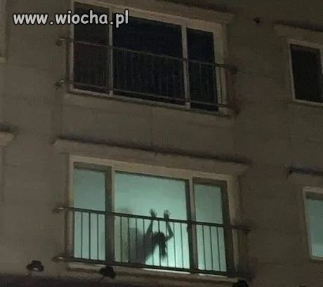 Rodem niczym