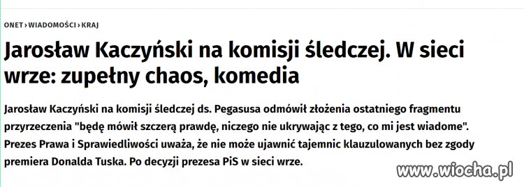 Sroka jest tragicznie nieudolna
