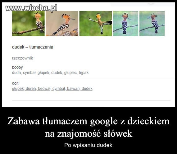 Bez polityki