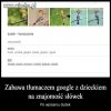 Bez polityki
