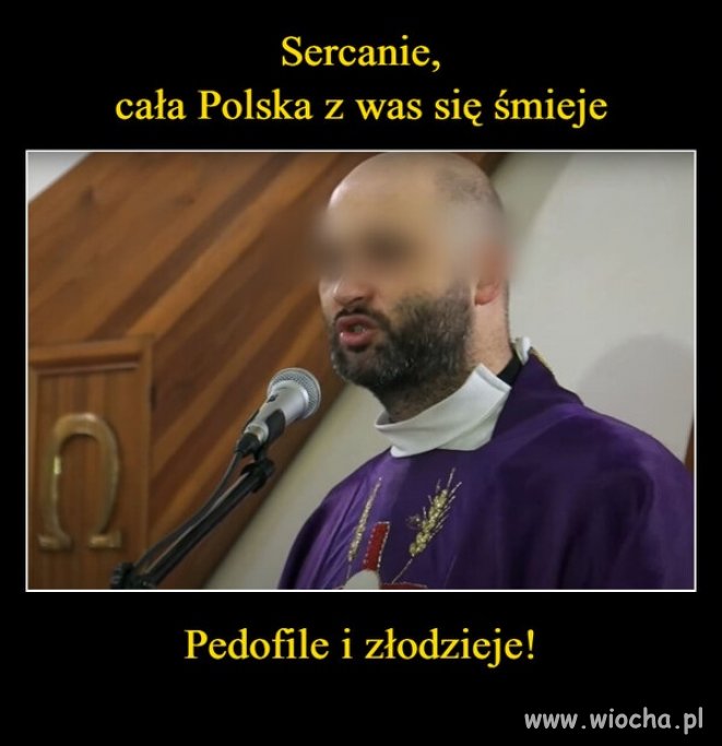Zakon miłośników salcesonu ...