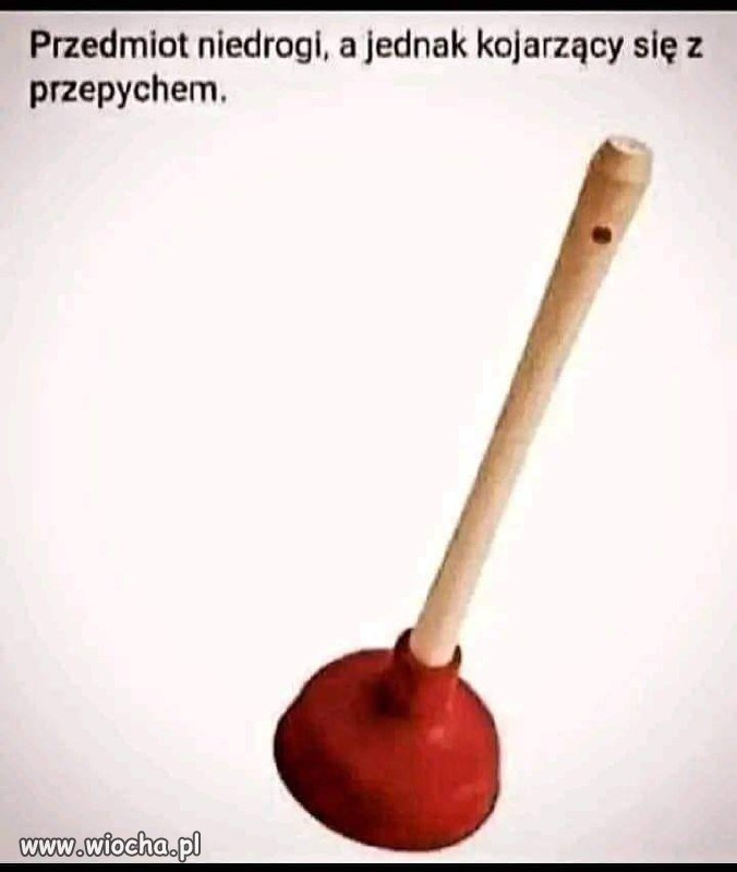 Totalny przepych 