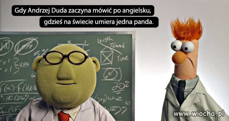 Wstyd 