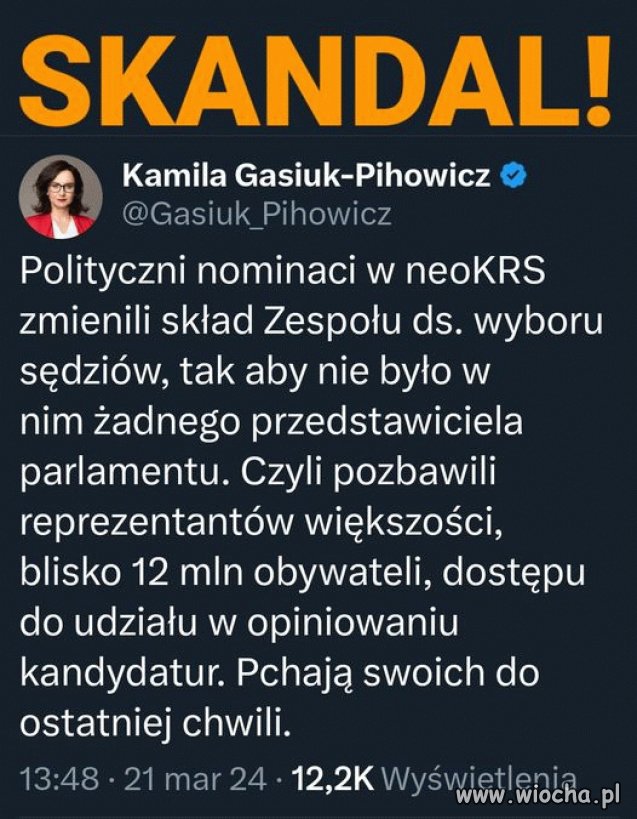 Pisowskie świnie