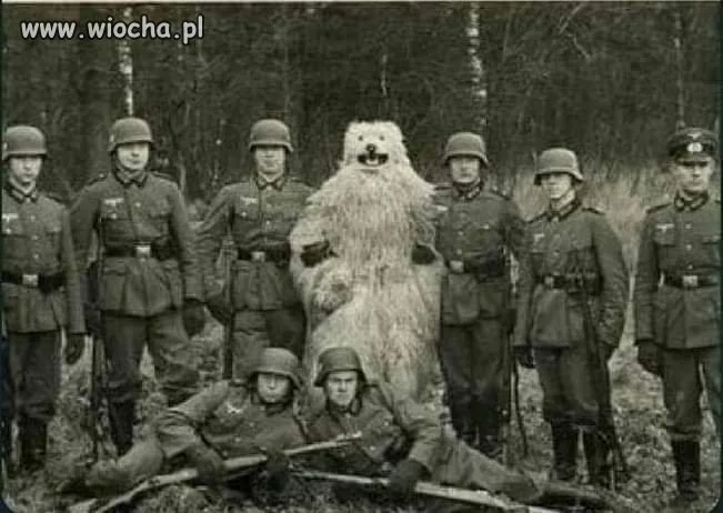 Archiwalne zdjęcie pewnego misia
