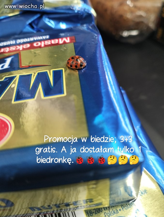 Promocja 