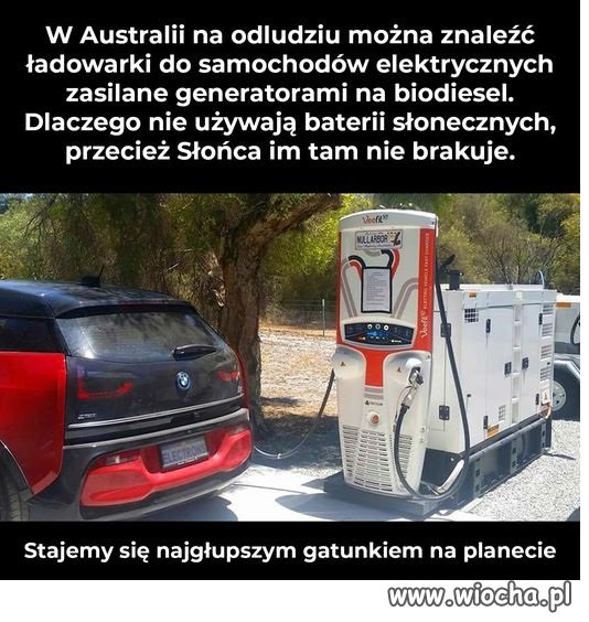 ...no właśnie, dlaczego?