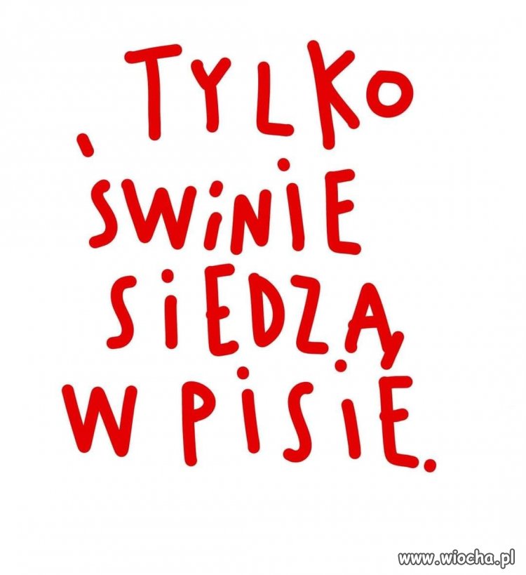 Nic dodać, nic ująć ...