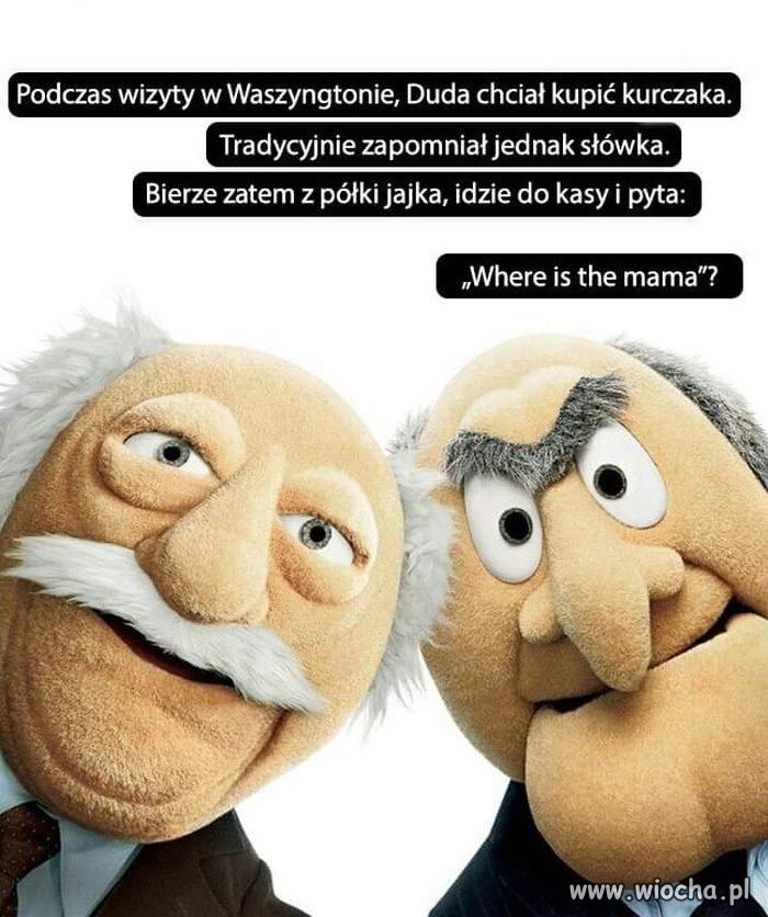 Podobno zakupy się nie udały