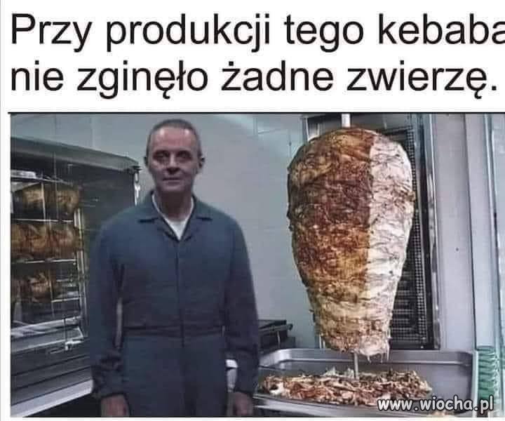 W obronie zwierząt 