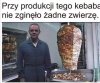 W obronie zwierząt 