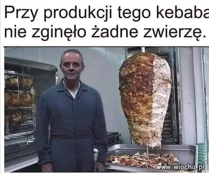 W obronie zwierząt 