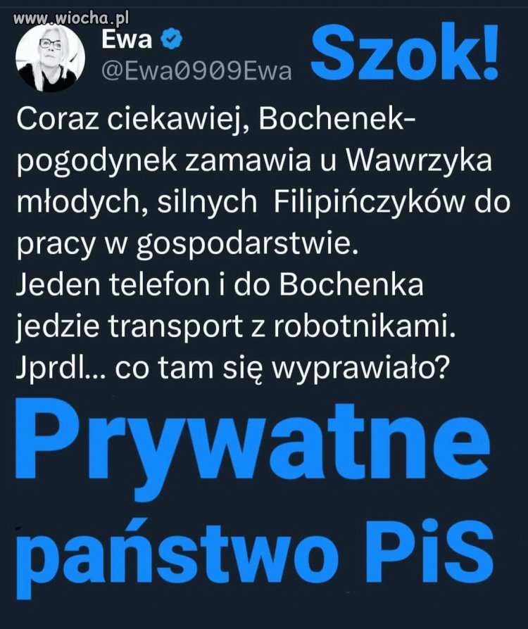 To się w pale nie mieści