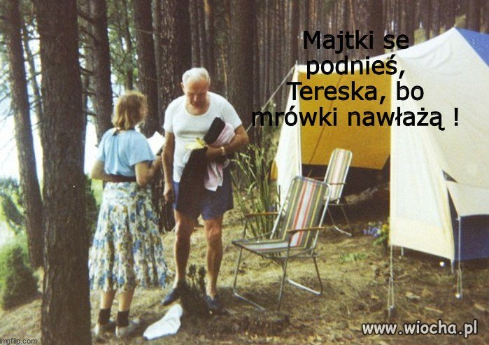 Namiot, las, leżaczek