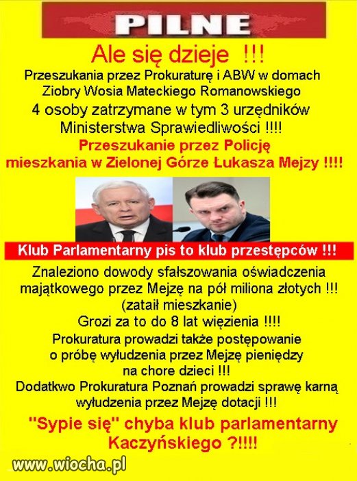 Polowanie na "kryształy" Kaczyńskiego!