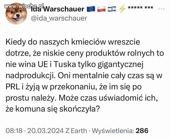 W punkt