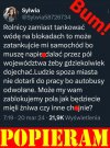 W punkt