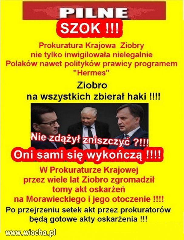 Czy  hołota PiSu sama się zagryzie? Oto jest pytanie...