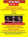 Czy  hołota PiSu sama się zagryzie? Oto jest pytanie...