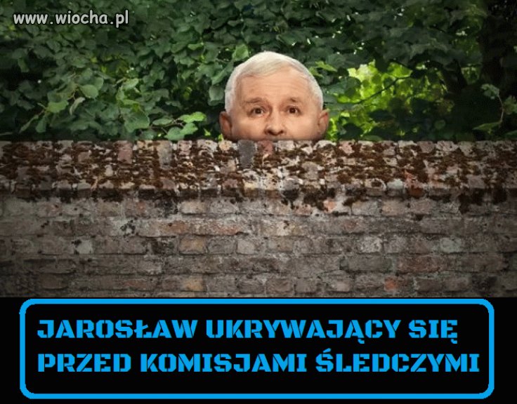 Jareczku gdzie jesteś?