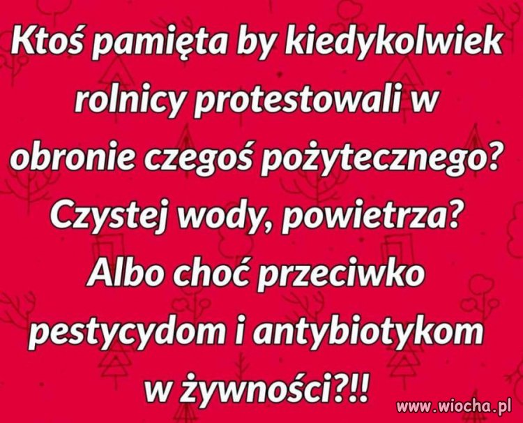 Egoistyczne postawy roszczeniowe.
