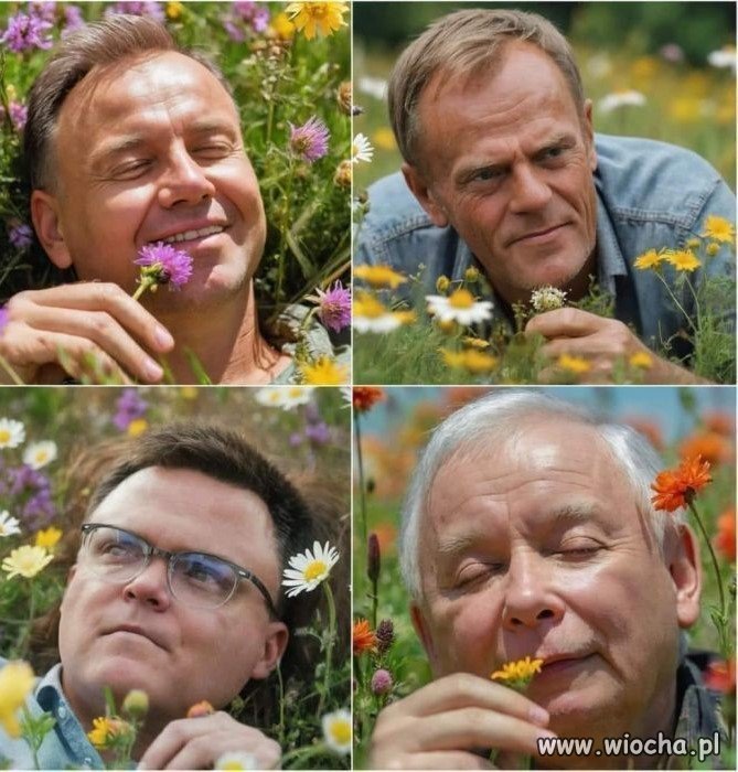 Wiosna, ach to ty