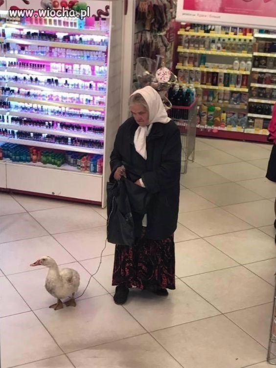 Każde pokolenie