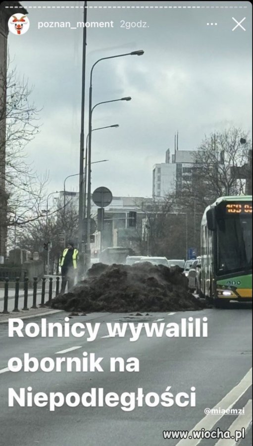 Gówniany argument 