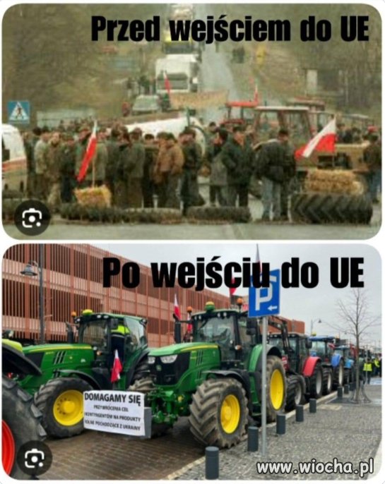 Zapomniał wół jak cielęciem był.