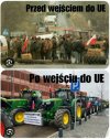 Zapomniał wół jak cielęciem był.