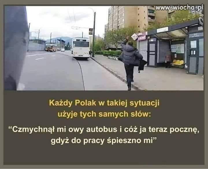 Gdy ucieknie ci autobus to co myślisz?
