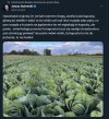 Znany fakt, że na wsi zawsze tak było dla siebie i na sprzedaż