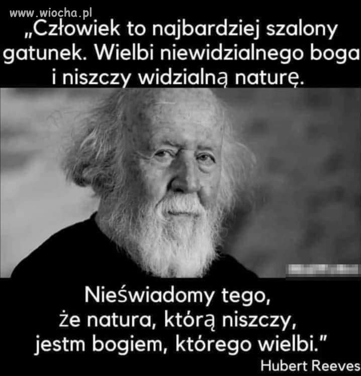 Słowo Na Niedzielę