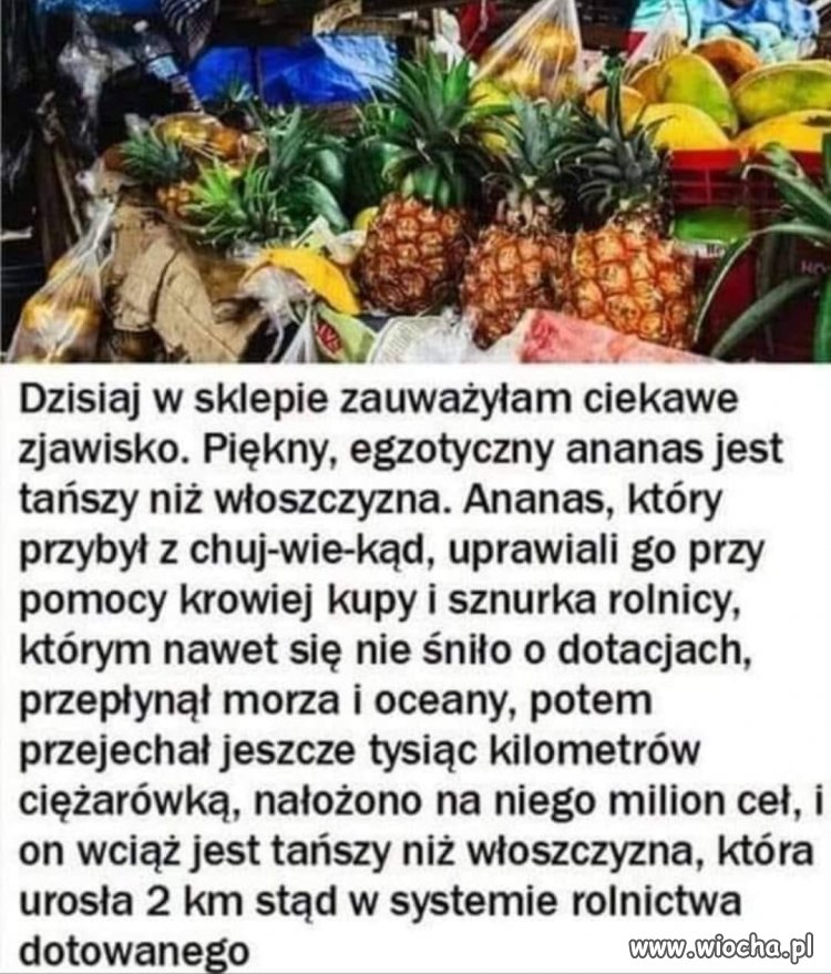 Taka polityka