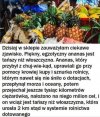 Taka polityka