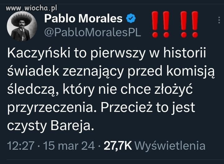 Bareja wiecznie żywy