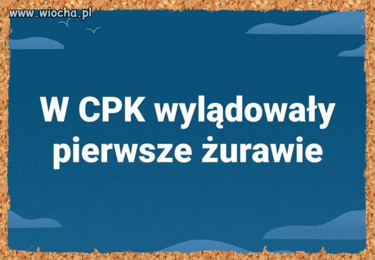 Pisowski sukces