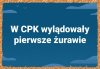 Pisowski sukces