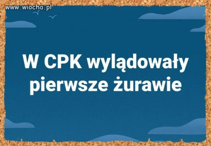 Pisowski sukces