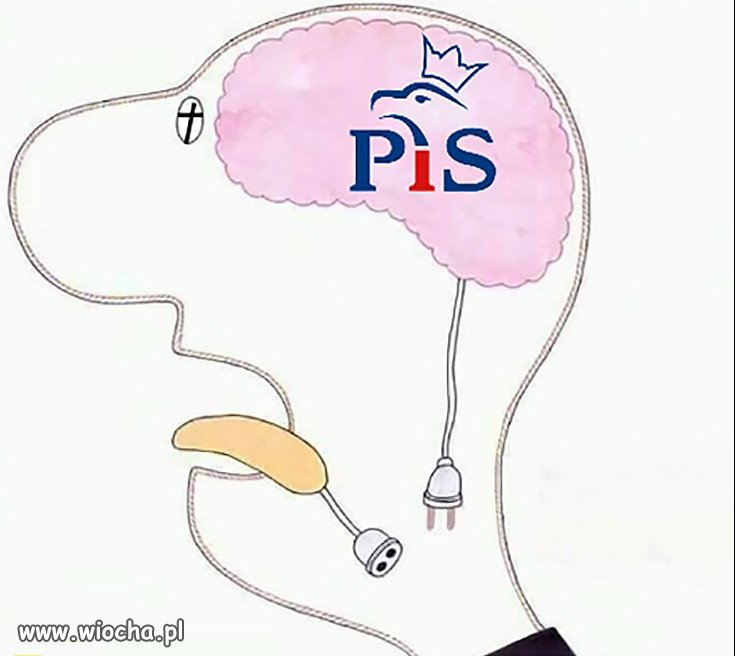 PiS i Kaczyński zawsze mieli z tym problem...